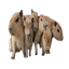 CAPY