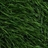 Touch Grass