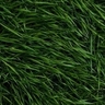 Touch Grass