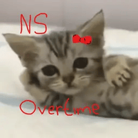 NS Overtime