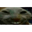 xdd